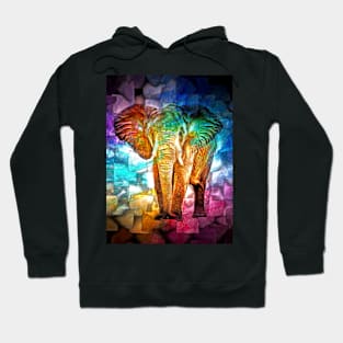 Elephant Mosaic Hoodie